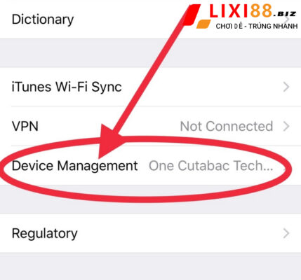 vao-device-management-cai-dat-tin-cay